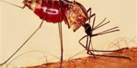 إنجاز
      للعام
      الثاني..
      مصر
      خالية
      من
      الملاريا
      وتحاليل
      الربع
      الأول
      تؤكد
      النتائج