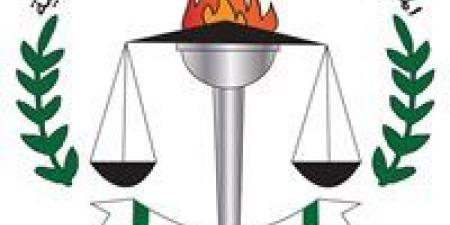 القومي
      للبحوث:
      سجلنا
      أكثر
      من
      100
      ألف
      بحث
      و350
      براءة
      اختراع
      منذ
      إنشاء
      المركز