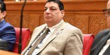 سامي نصر الله: رسائل الرئيس السيسي في ذكرى تحرير سيناء تؤكد ثوابت الدولة المصرية وتدعم مسيرة الاستقرار والتنمية