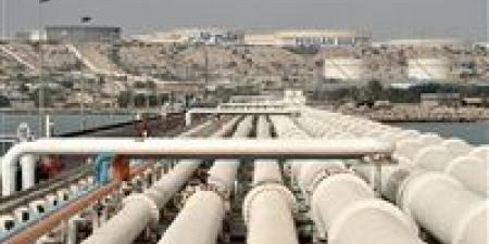 خبراء:
      ادعاء
      ترامب
      بانفجار
      خطوط
      النفط
      الإيرانية
      خلال
      3
      أيام
      مبالغ
      فيه