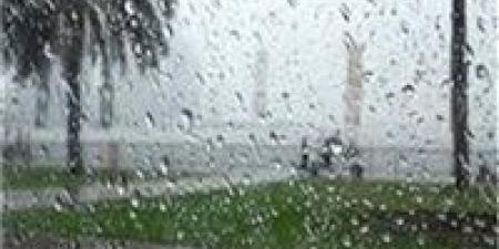 أمطار
      غزيرة
      ورياح
      مثيرة
      للأتربة..
      الأرصاد
      تحذر
      من
      تقلبات
      مفاجئة
      في
      طقس
      الإثنين