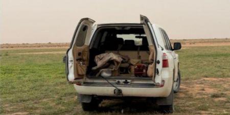 الأمن البيئي يضبط مخالفين لنظام البيئة ويؤكد تطبيق الغرامات على التعديات البيئية