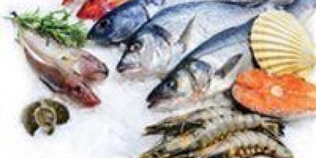 أسعار
      الأسماك
      اليوم
      الإثنين
      27
      أبريل
      2026
      بسوق
      العبور..
      استقرار
      نسبي