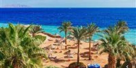 جرين
      شرم..
      مشروع
      تحويل
      شرم
      الشيخ
      لأكبر
      مدينة
      خضراء
      في
      مصر