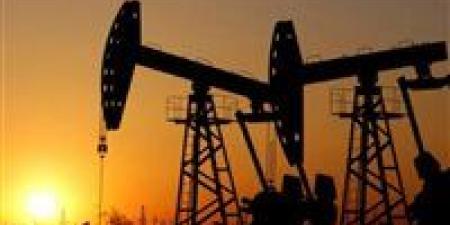 أيمن
      غنيم:
      قد
      يتخطى
      سعر
      برميل
      النفط
      مستوى
      150
      دولارا