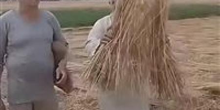 تم التصالح بين الطرفين .. إخلاء سبيل طرفي واقعة سرقة قمح أحد المزارعين بالشرقية