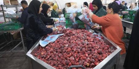 محافظ
      المنيا:
      محطة
      تعبئة
      فاكهة
      «البيهو»
      تنتج
      40
      طنًا
      من
      الفراولة
      والعنب