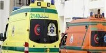 مصرع
      مزارع
      متأثرًا
      بإصابته
      بطلقات
      نارية
      في
      دشنا
      بقنا
