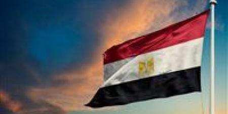 مصر: أمن البحرين ودول الخليج الشقيقة جزءا لا يتجزأ من الأمن القومي المصري