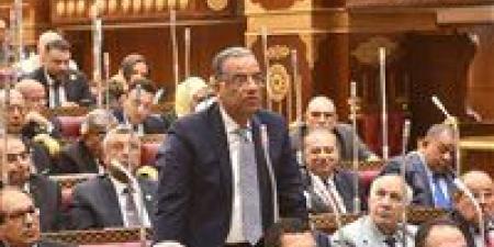 رئيس برلمانية الجبهة الوطنية بالشيوخ عن المدارس اليابانية: من أنجح المبادرات التي رعاها الرئيس السيسي