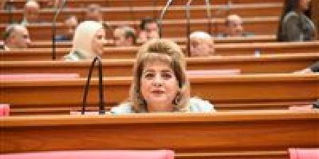 «خارجية النواب»: كلمة الرئيس السيسي في نيروبي أكدت ريادة مصر داخل أفريقيا
