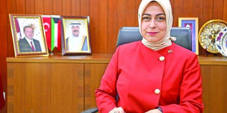 السفارة التركية: علاقات بلادنا بأرمينيا تشهد زخماً إيجابياً