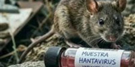 هل
      يبدأ
      الانتشار
      المرعب؟..
      خبراء
      يراقبون
      بقلق
      يوم
      19
      مايو
      الحاسم