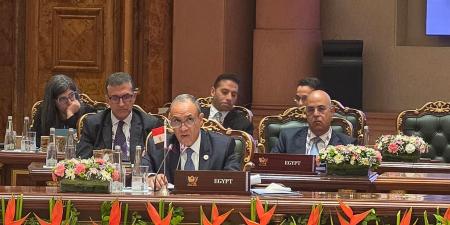 «من قلب نيودلهي».. وزير الخارجية يطرح رؤية مصر لمواجهة الأزمات الدولية أمام بريكس