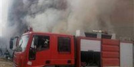 السيطرة
      على
      حريق
      بمخلفات
      ورق
      في
      كوم
      أوشيم
      الصناعية
      بالفيوم
      دون
      إصابات