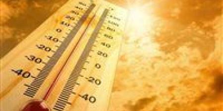 الصحة:
10
نصائح
ذهبية
للوقاية
من
الإجهاد
الحراري
وضربات
الشمس
