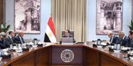 رئيس
الوزراء
يستعرض
جهود
تعزيز
الربط
والتبادل
التجاري
واللوجيستي
مع
الدول
الإفريقية
