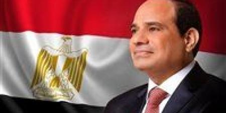 نواب:
كلمة
الرئيس
السيسي
في
يوم
أفريقيا
تأكيد
على
ريادة
مصر
ودعم
مسيرة
التنمية
والتكامل
بالقارة