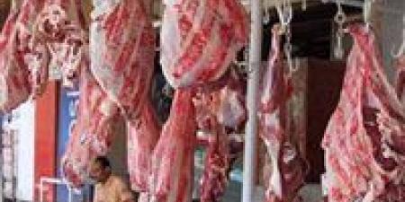 خطة
طوارئ
تموينية
لعيد
الأضحى:
ضخ
لحوم
طازجة
بخصومات
تصل
إلى
30%
وتأمين
الخبز
البلدي
