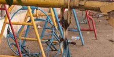مصرع فتاة سقطت من على مرجيحه بالغربية
