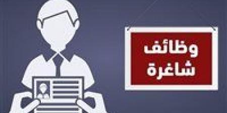 وزارة
      العمل
      تعلن
      عن
      وظائف
      بمدينتي
      6
      أكتوبر
      والعبور
      برواتب
      مجزية