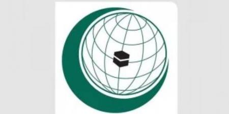 الأمانة العامة لمنظمة التعاون الإسلامي تدين العدوان الإسرائيلي على لبنان