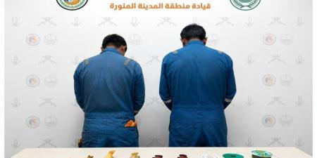 حرس الحدود بينبع يضبط مخالفين لنظام الصيد البحري ويصادر أسماكًا مصيدة