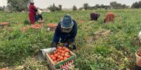 الأغذية
      العالمي:
      مصر
      مؤهلة
      لتصبح
      مركزًا
      إقليميًا
      للأمن
      الغذائي
      بالمنطقة
      العربية