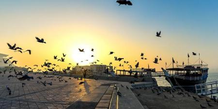 طقس حار نهارا.. تعرف على أعلى درجة حرارة اليوم