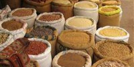 شعبة
الحبوب:
لدينا
وفرة
وتراجع
في
الأسعار
وصل
في
بعض
السلع
إلى
30%
