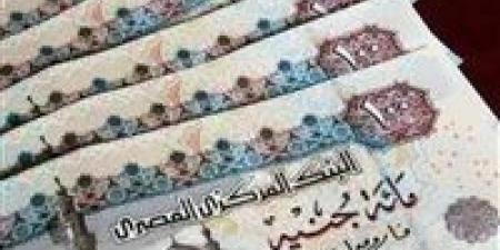 أبو
العطا
:
متوسط
المعاشات
5200
جنيه
وتفاوت
كبير
بين
الشرائح