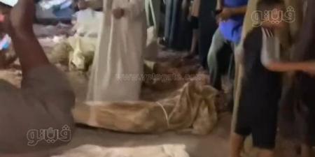 فيديو متداول يثير الجدل في الشرقية، استغاثات من الأهالي بسبب هدم مقابر بمركز ديرب نجم