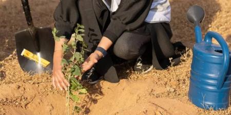 إشادة أممية بالأجندة السعودية لمكافحة التصحر