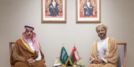 وزير الخارجية ونظيره العُماني يبحثان تعزيز الشراكة الاستراتيجية وأمن الملاحة في مضيق هرمز