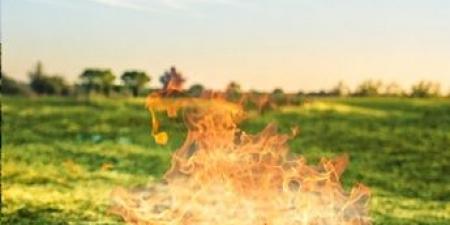 الدفاع المدني يدعو إلى الالتزام بمواقع إشعال النار حفاظًا على الأرواح والغطاء النباتي
