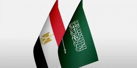 اجتماع
سعودي
مصري
لتعزيز
التعاون
في
مجال
الدفاع
المدني