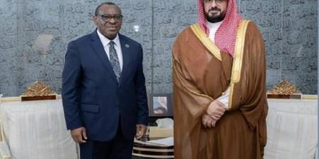 وزير
الاقتصاد
السعودي
يبحث
مع
إيرلندا
والأمم
المتحدة
التنمية
المستدامة