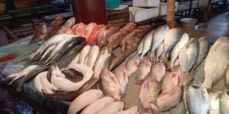 أسعار
السمك
اليوم،
ارتفاع
البلطي
والجمبري
يلامس
الألف
جنيه
وانخفاض
الكابوريا
10
جنيهات