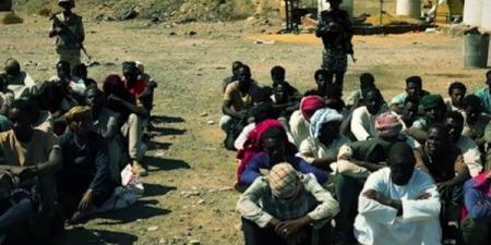 الحلقة
الرابعة
من
درع
الوطن..
تأثير
ظاهرة
الدهابة
على
أهالي
مرسى
علم
اقتصاديا
وأمنيا