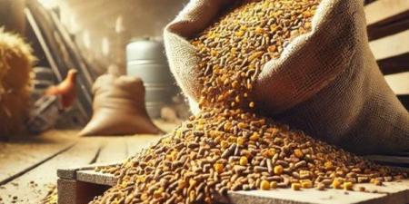 انخفاض
الردة،
أسعار
الأعلاف
والحبوب
اليوم
في
الأسواق