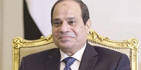 انطلاق
القمة
المصرية
التنزانية
في
دار
السلام