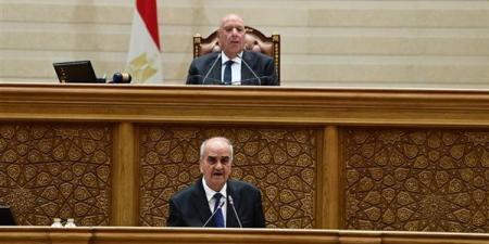 الموافقة نهائيا على مشروع قانون جهاز مستقبل مصر، حصاد مجلس النواب في أسبوع