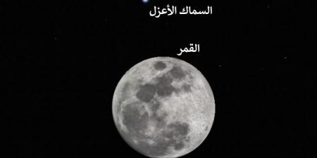 سكان قطر على موعد مع اقتران القمر بالسماك الأعزل غدا