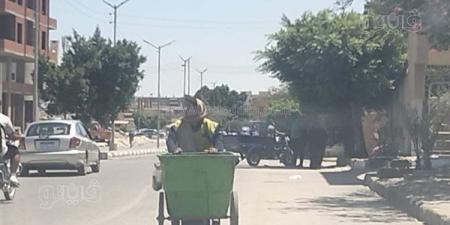لقمة
العيش
الحلال،
عمال
النظافة
بالإسماعيلية
يعملون
تحت
درجة
حرارة
تتجاوز
الـ40
(صور)