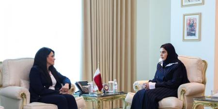 وزير الدولة للتعاون الدولي تجتمع مع وكيل الأمين العام للأمم المتحدة والأمين التنفيذي لـ "الإسكوا"