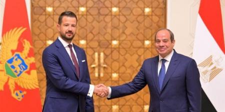 الرئاسة
      في
      أسبوع..
      السيسي
      يؤكد
      لرئيسة
      تنزانيا
      أهمية
      تعزيز
      العلاقات
      الثنائية..
      يبحث
      مع
      رئيس
      الجبل
      الأسود
      تطوير
      التعاون
      الاقتصادي..
      ويؤكد
      لـ
      ميلوني
      ضرورة
      تكثيف
      الاستثمارات
      الإيطالية
      بالسوق
      المصري