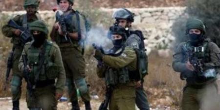 هيئة العمل الأهلى الفلسطينى: إسرائيل تركز على تصفية الضفة الغربية لمنع إقامة دولة فلسطينية