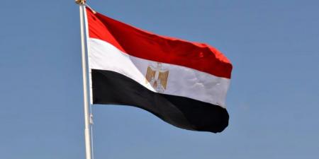 مصر تدين الهجمات التي استهدفت السعودية وتؤكد التضامن الكامل معها