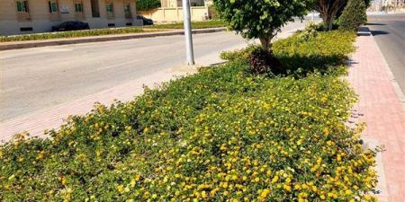وزيرة
      الإسكان
      تتابع
      موقف
      المشروعات
      وأعمال
      التطوير
      ورفع
      كفاءة
      الخدمات
      بمدن
      الصعيد
      الجديدة