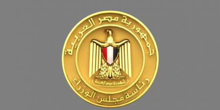 مجلس الوزراء المصري: حريق دمياط ناتج عن مسيرة ولم تعلن أي جهة مسؤوليتها